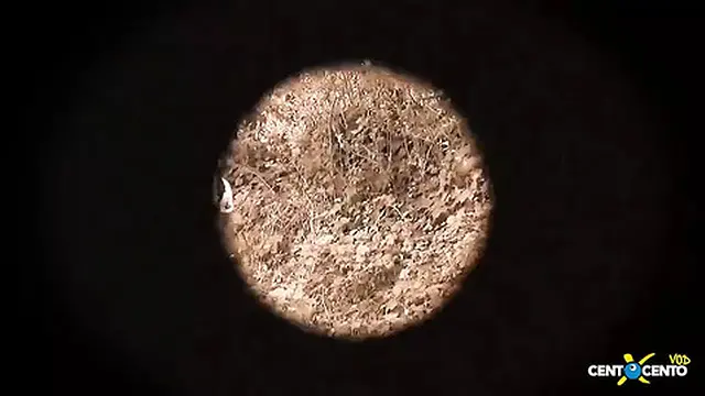 Dark allure and tender submission (Italian film in HD)