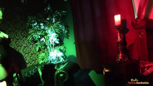 This shadowy space hides intense desires