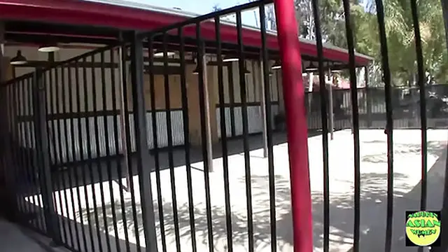 Cute Asian Girl Rhianna Ryan enjoys her first BBC experience