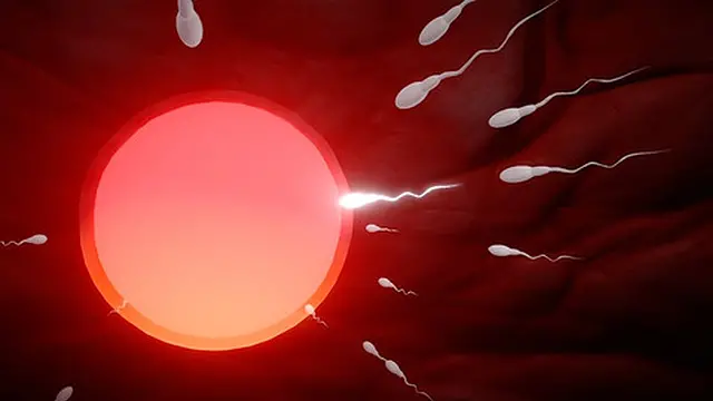 Threesome fertilizing the unfaithful girlfriend