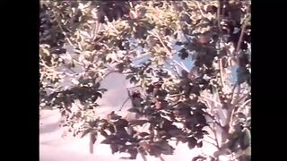 In 80s Porno: Constant Hard Rod Action With Lush Locks