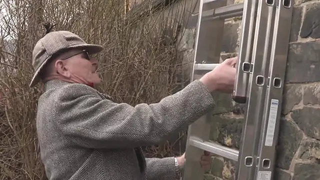 Two Sticks in One Vagina🌮️