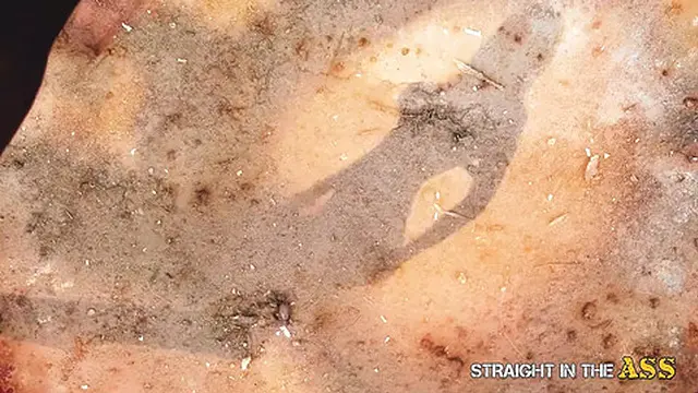 Straight in the Ass - Two babes with big boobs pinned in the ass in an orgy sex party