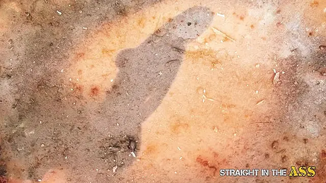 Straight in the Ass - Two babes with big boobs pinned in the ass in an orgy sex party