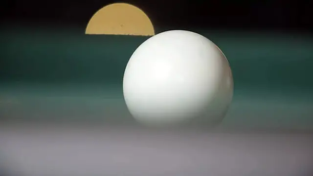 Hot Babes Kali Sudhra And Nat Portnoy Savor Big Black Cock🍆