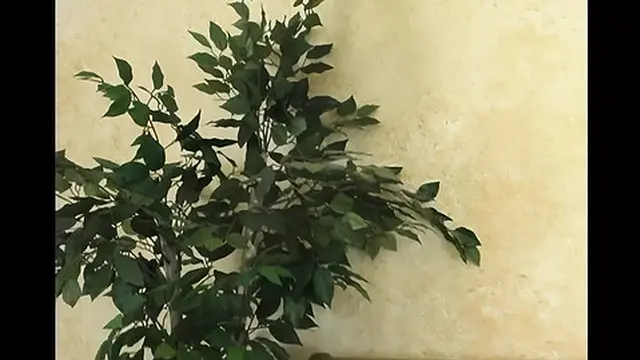 Arcadia Davida and Gabriella Banks Fucked Hard by a Huge Black Cock!