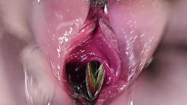 Two Horny🥵 Sluts Enjoy First Threesome with Big Cock🌭