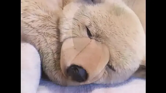 A Threesome Fuck with Two Hot Sex Goddesses to Fuck Hard in the Ass