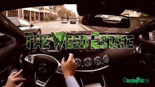 Tattooed and pierced beauty gets spitorasted in threesome