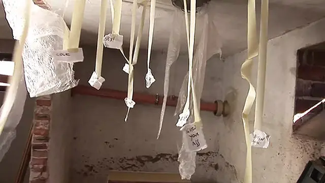 Threesome with my roommate a slut gets her ass opened